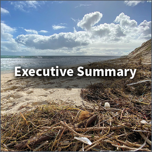 Banner: Executive summary