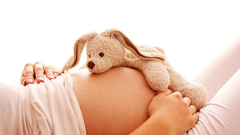 Image of a stuffed, toy dog resting on a pregnant persons stomach
