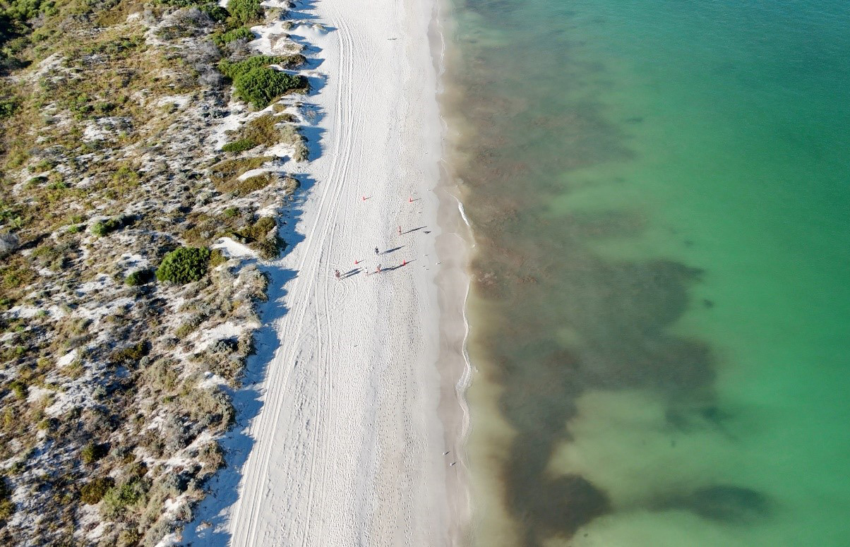 Algal bloom at Mullaloo Beach