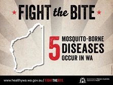 Fight the bite facebook infographic 2