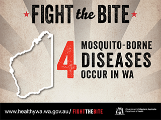Facebook infographic: fight the bite 2