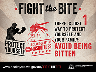 Facebook infographic: fight the bite 6