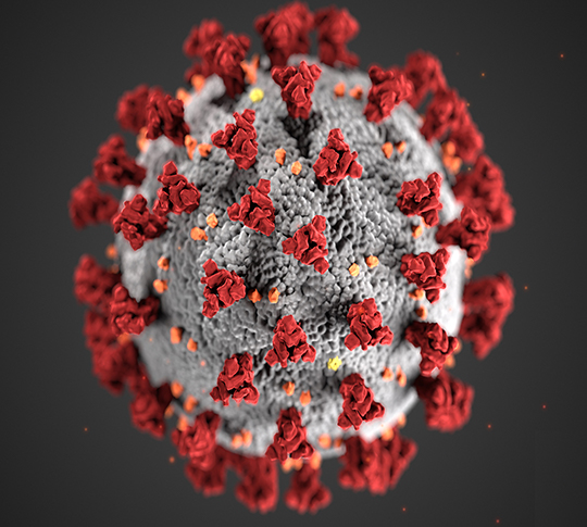 Coronavirus map