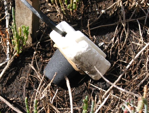 Larvicide briquet attached to float in situ