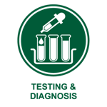 Icon: Links to WA Hepatitis B Strategy 2015–2018 – testing and diagnosis