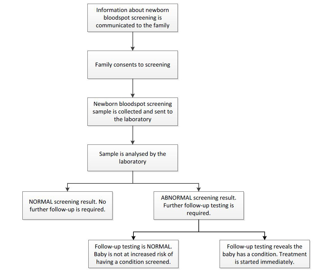 The newborn bloodspot screening pathway