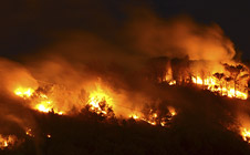 Disaster Management