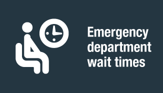 Link to emergency department wait times