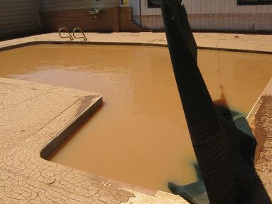 Brown water in swimming pool