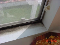 Mould growth on window sill