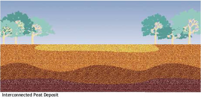 Interconnected peat deposit