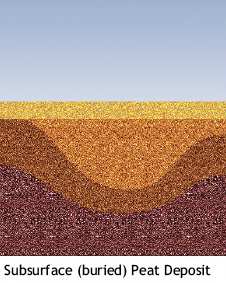 Illustration showing subsurface (buried) peat deposit
