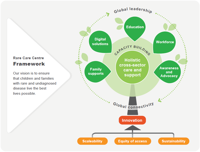 Rare Care Centre framework diagram